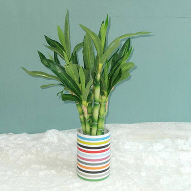 New 40cm rFtificial Lucky Bamb - Outdoor Furniture Green incelemesi ve fiyatı